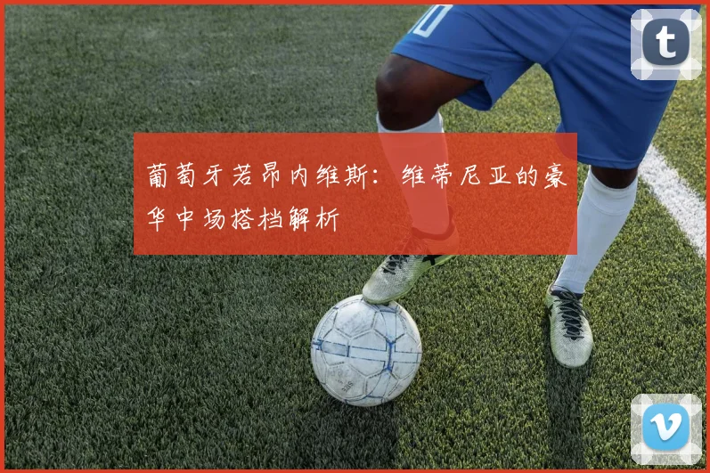 葡萄牙若昂内维斯：维蒂尼亚的豪华中场搭档解析